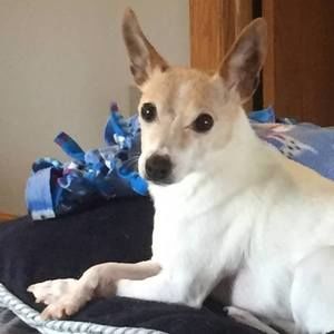 Meet your Posher, Sandy